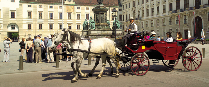 Vor der Hofburg in Wien fährt eine Kutsche mit weißen Pferden über das Kopfsteinpflaster. Die historische Fassade rahmt die Szene.